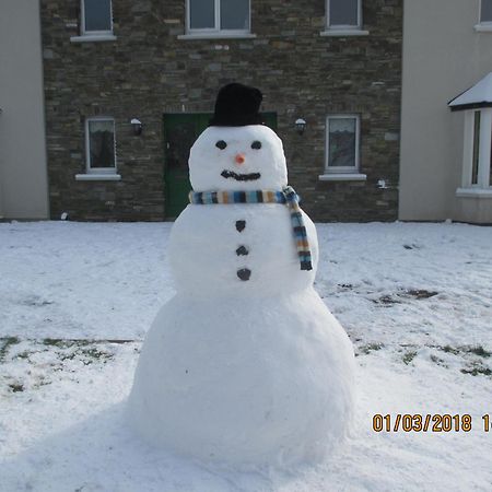 Pk Lodge Bed And Breakfast Skibbereen Εξωτερικό φωτογραφία
